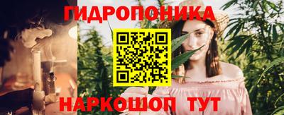 спайс Малгобек