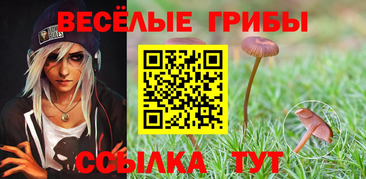 Псилоцибиновые грибы Cubensis  Вход с VPN  Вязники  Псилоцибиновые грибы Psilocybine cubensis 