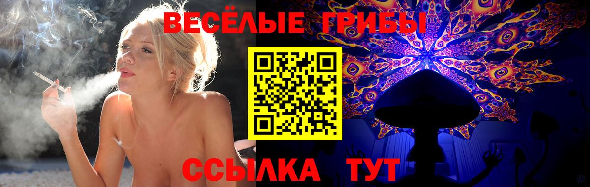 Псилоцибиновые грибы ЛСД Вязники